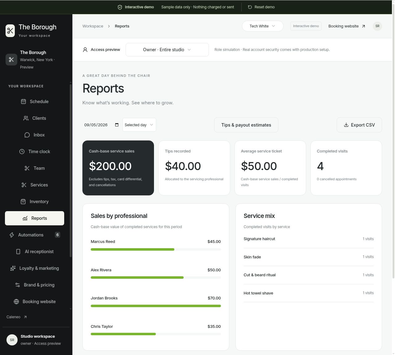 The Borough light dashboard with sidebar navigation, sales, tips, and performance charts. Actual product, sample data.